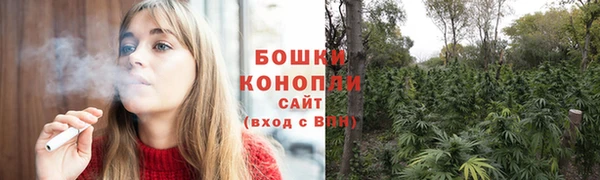 бошки Гусев