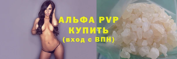 бошки Гусев
