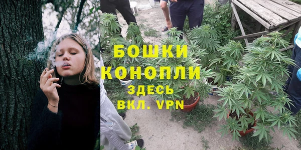 не бодяженный Гусь-Хрустальный