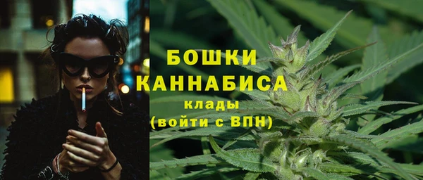 бошки Гусев