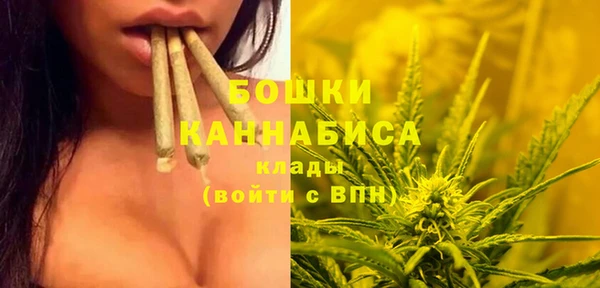 бошки Гусев